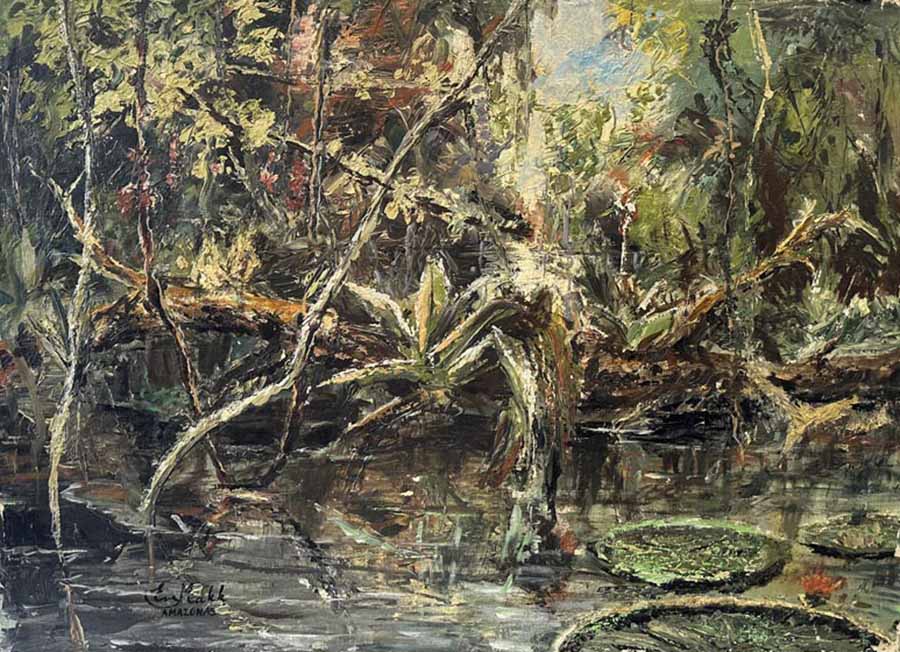 Igapo Amazonas by Eva Makk shows a land/waterscape of a boggy area along the Amazon River. There are trees and ferns growing out of the water.